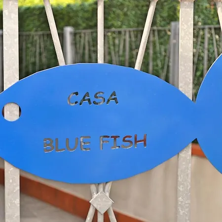 Casa Blue Fish * سارزانا